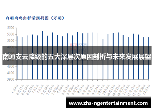 南通支云降级的五大深层次原因剖析与未来发展展望