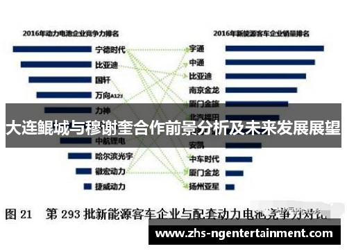 大连鲲城与穆谢奎合作前景分析及未来发展展望