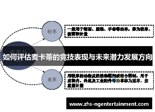 如何评估麦卡蒂的竞技表现与未来潜力发展方向