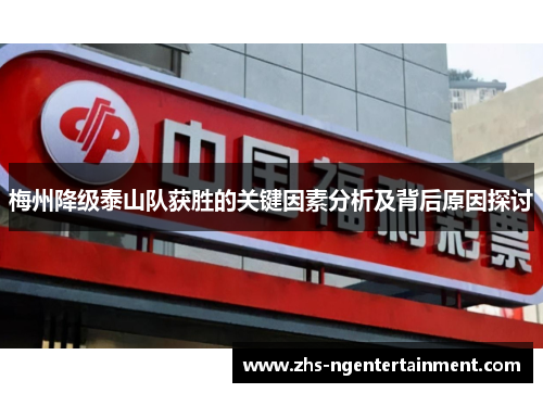 梅州降级泰山队获胜的关键因素分析及背后原因探讨