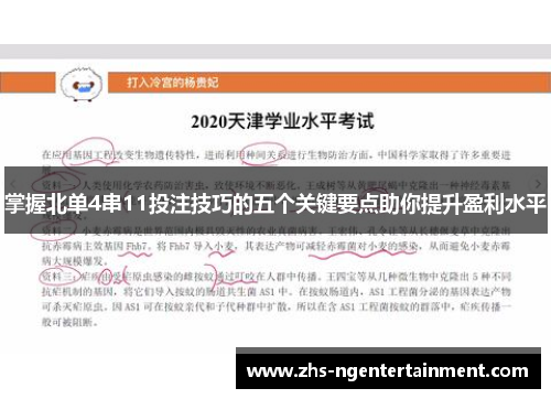 掌握北单4串11投注技巧的五个关键要点助你提升盈利水平