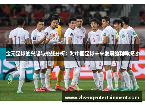 金元足球的兴起与挑战分析：对中国足球未来发展的利弊探讨