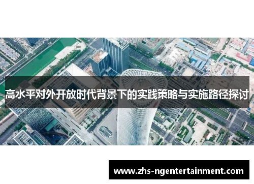 高水平对外开放时代背景下的实践策略与实施路径探讨